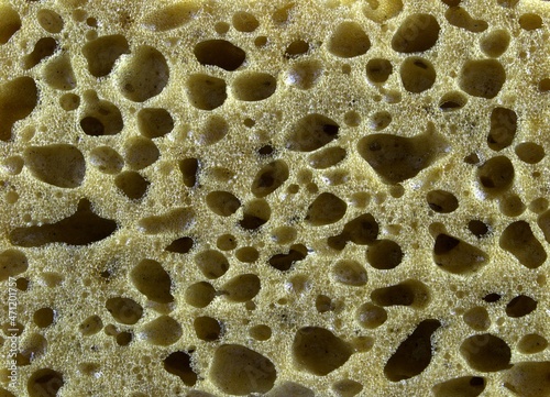 Texture and background. Yellow large sponge