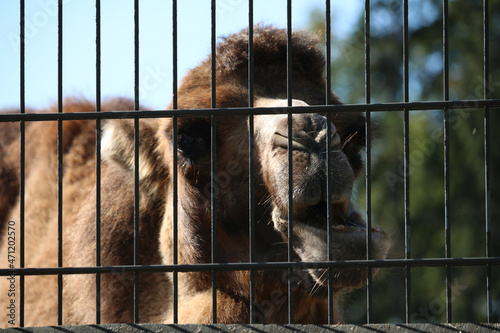 Finland Korkeasaari Zoo photo