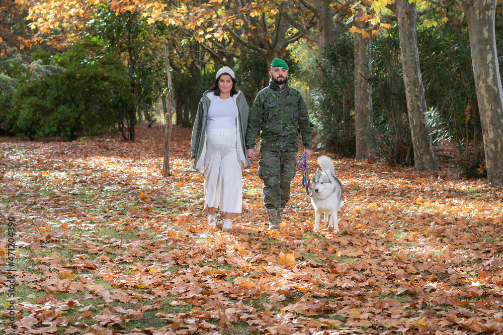 Fototapeta premium mujer embarazada, militar y perro husky dan un paseo familiar en el parque, el suelo lleno de hojas de otoño.