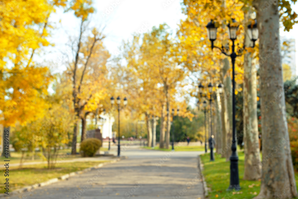 Beautiful city park on autumn day, blurred view