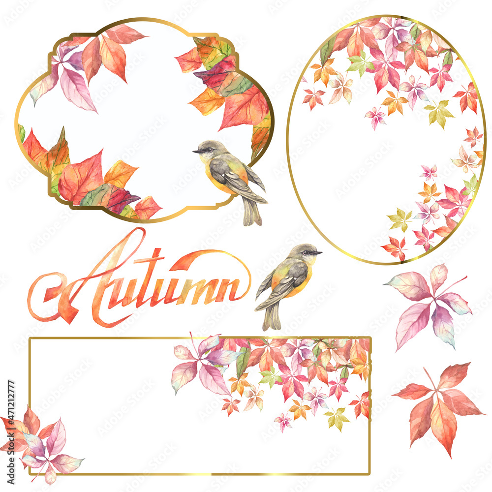 autumn frames with birds