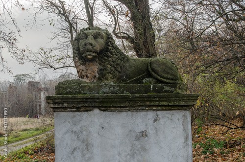 Fototapeta Włostów -ruiny Pałacu rodziny Karskich lwy przy wjeździe 