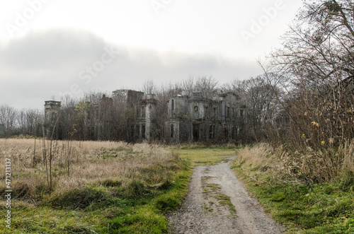 Fototapeta Naklejka Na Ścianę i Meble -  Włostów -ruiny Pałacu rodziny Karskich