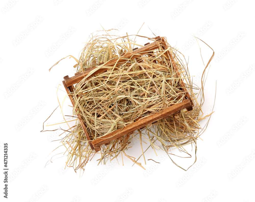 Fototapeta premium Wooden manger with hay on white background