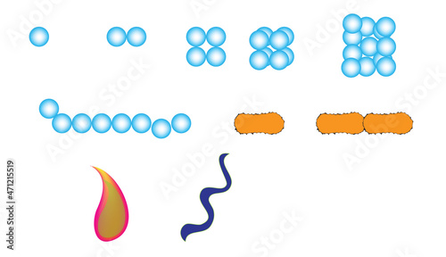 Biological shapes of bacteria (Bacterial shapes)