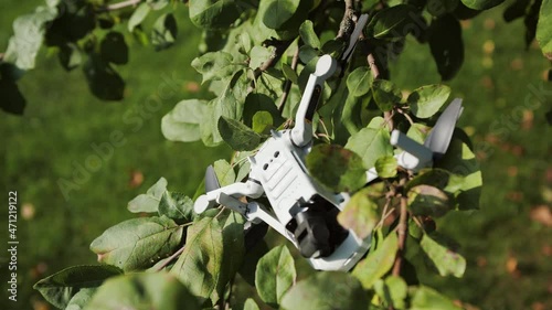 Drone crashed into a green apple tree and stuck the branches. photo