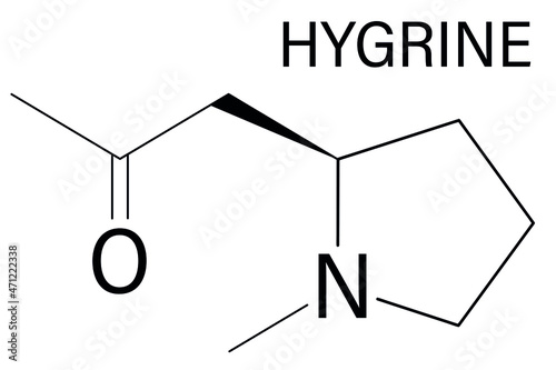 Hygrine coca alkaloid molecule. Skeletal formula.	