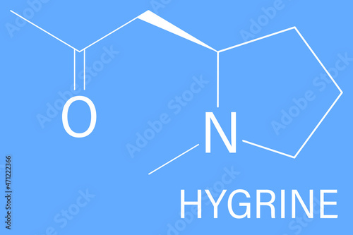 Hygrine coca alkaloid molecule. Skeletal formula.	