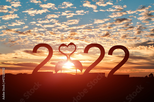 Concept of new year 2022. Silhouette of Flamingo in heart shape with 2022 against blue sky background.