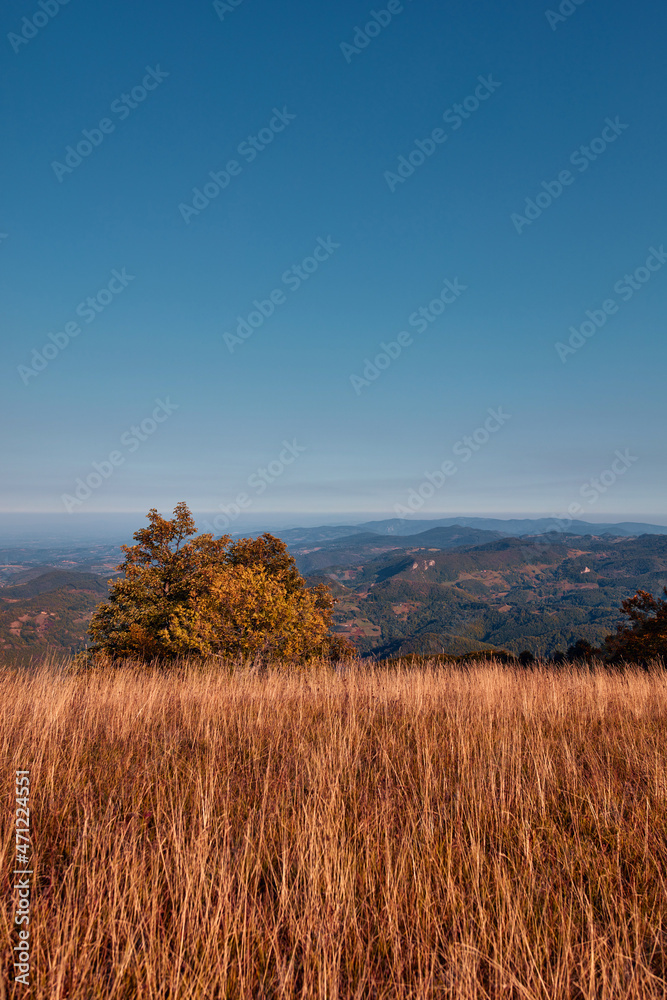 View of countryside hilly landscape in autumn colors. View of countryside hilly landscape in autumn colors.