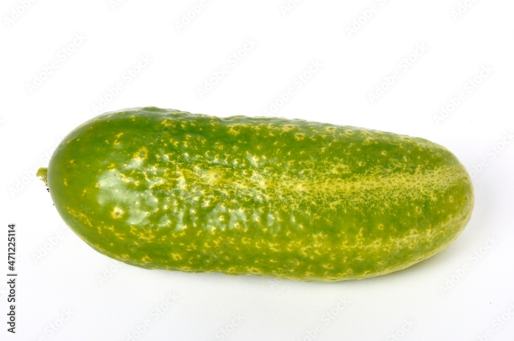 Small cucumber on a white background
