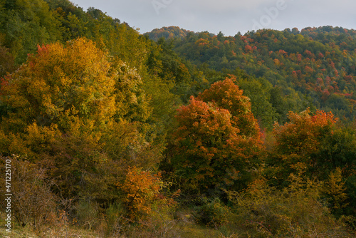 Fototapeta Naklejka Na Ścianę i Meble -  Autumn landscape at Monti Lucretili Natural Regional Park in Italy