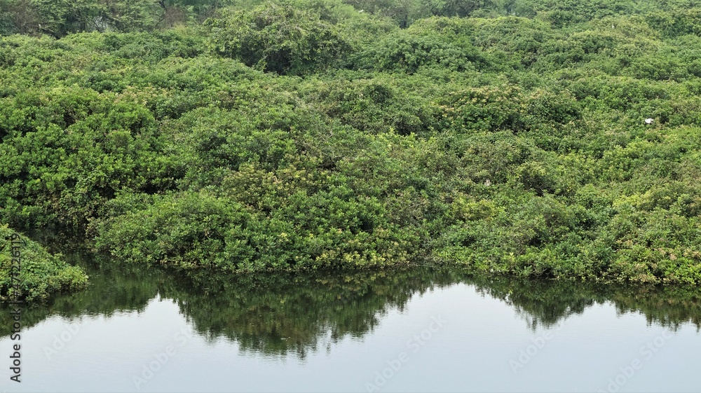 Beautiful green mosaic landscape with some birds and beautiful lake water in the Beautiful green mosaic landscape with some birds and beautiful lake water in the