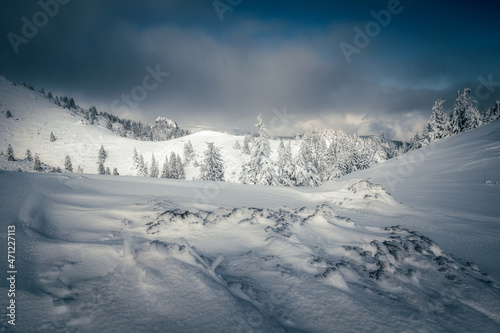 Beautiful panorama view of a valley in the mountains during a winter day with fir trees covered in snow and dramatic storm clouds gathering