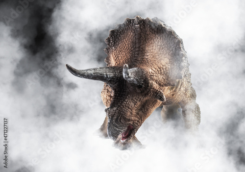 Triceratops  dinosaur on smoke background