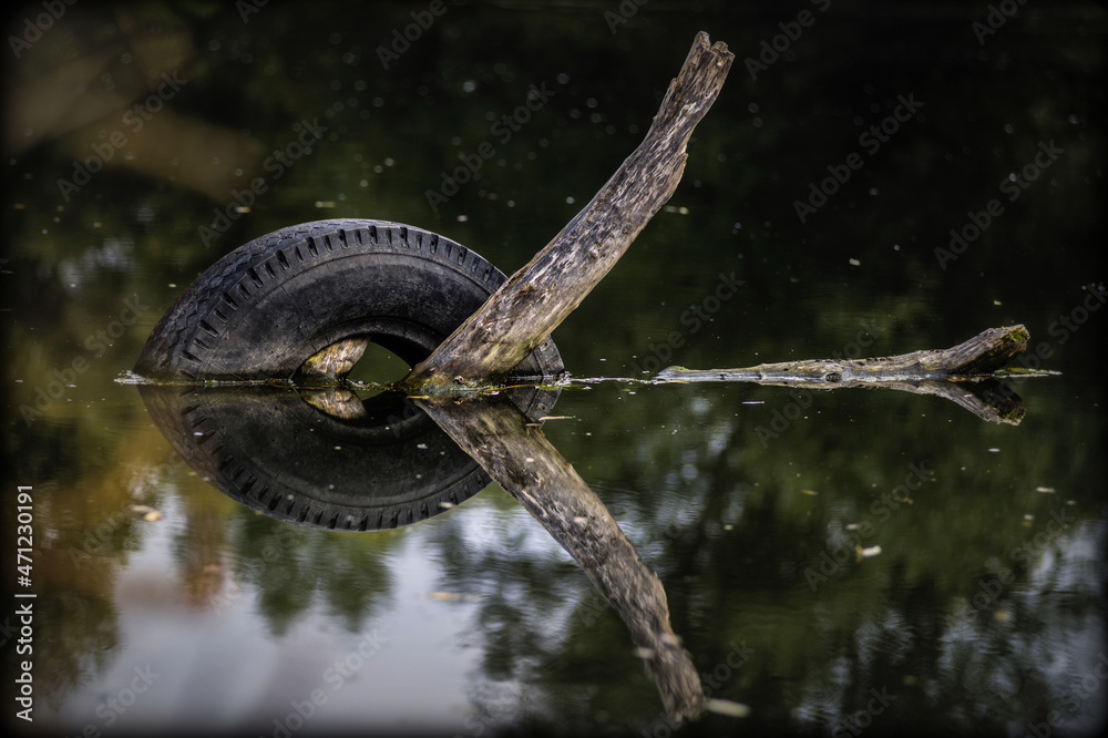 Fototapeta premium old water dragon