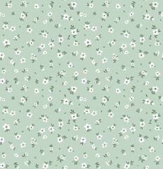 Keuken achterwand Kleine bloemen patronen Seamless floral pattern. Ditsy background of small white flowers. Vector pattern. Elegant template for fashion prints. Gray blue background. Summer and spring motifs.  © ann_and_pen