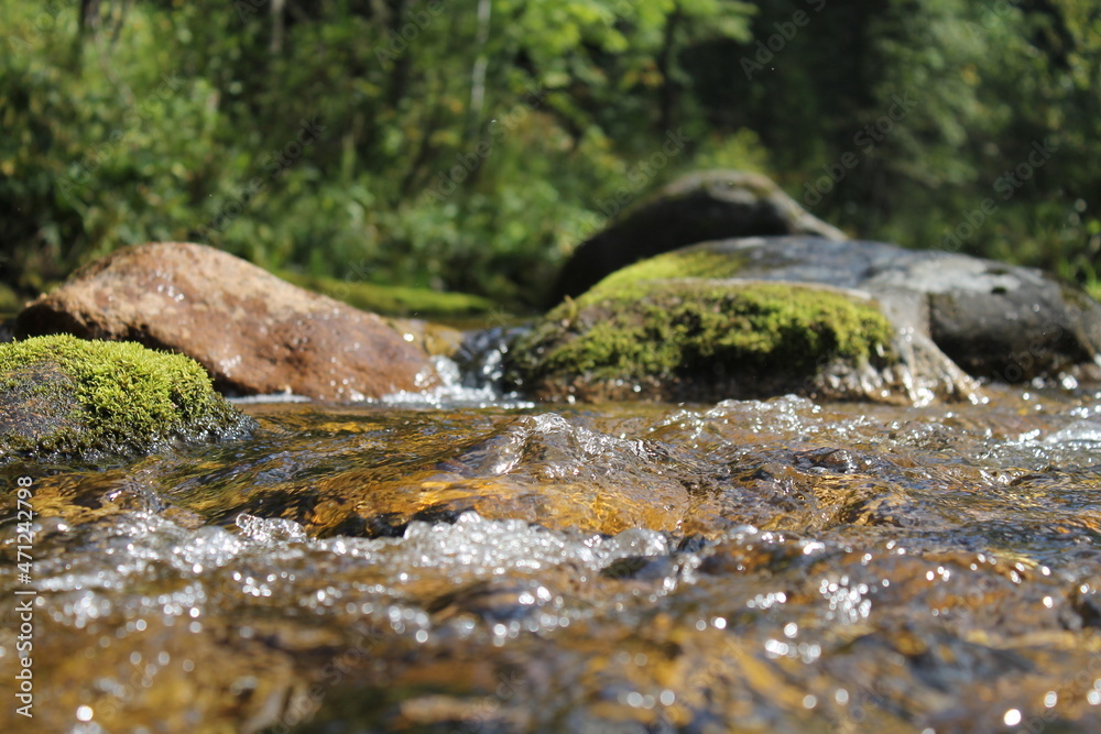 water flowing in the forest water flowing in the forest