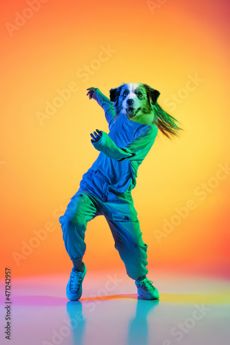 Full-length creative portrait of young girl, hip-hop dancer headed of dog's head in action isolated on colorful background in neon light. Image montage