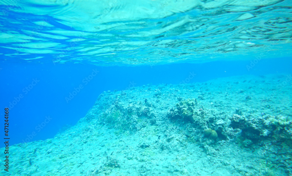 Obraz premium Underwater background