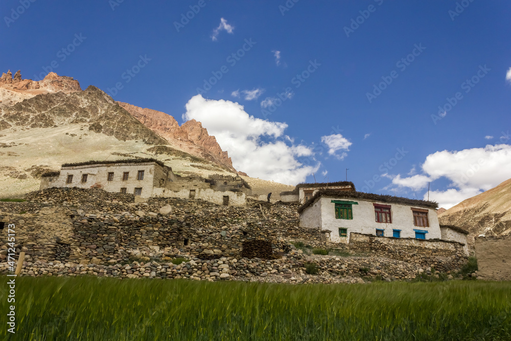 The traditional architecture of the white houses with green fields in the village of Kargiak in the Zanskar region.