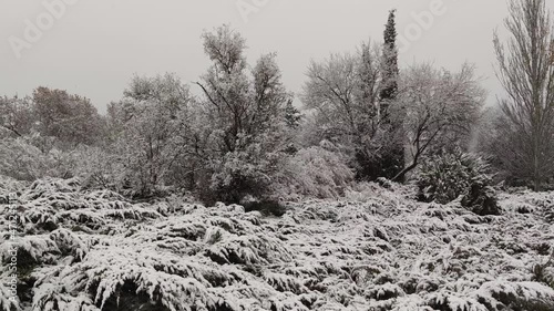 Temporal de nieve a finales de otoño en los bosques y campos de Valladolid, España photo