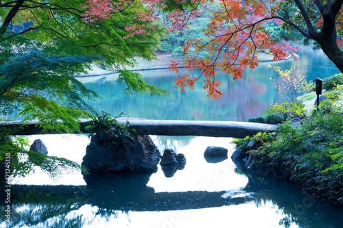 六義園　紅葉の始まり　渡月橋	