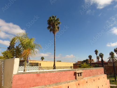 Marrakesh Morocco rooftop view with a palm tree