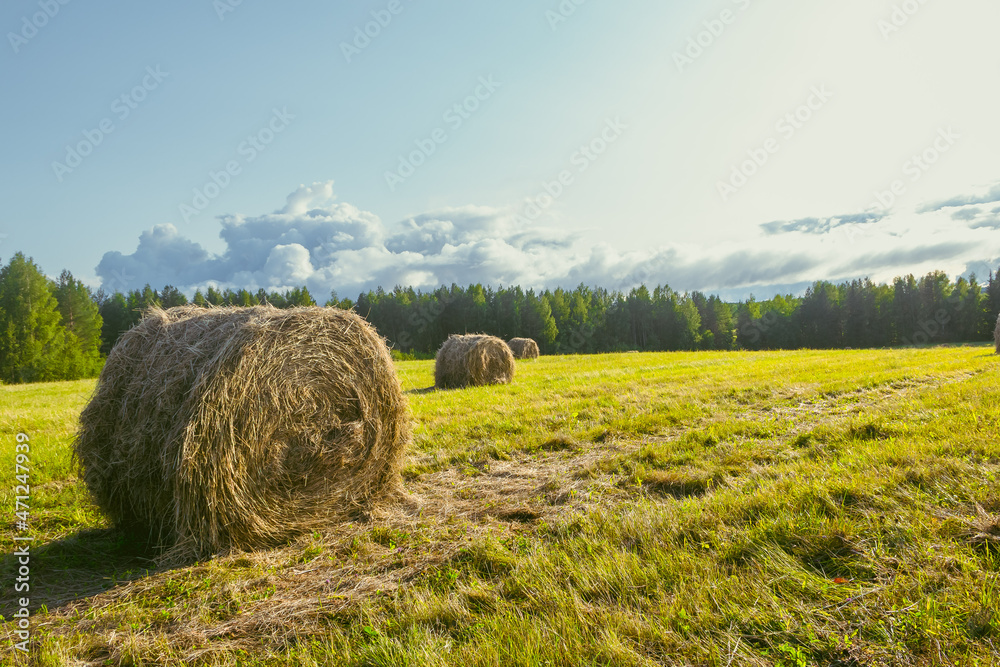 a haystack in a field against a sunset background