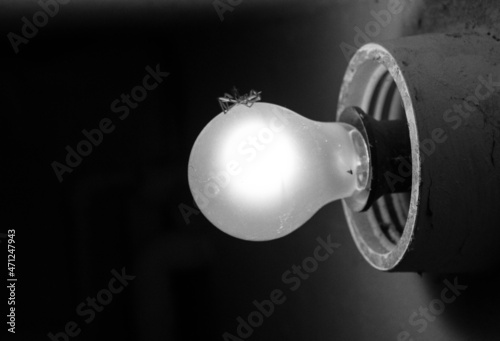 horror lightbulb