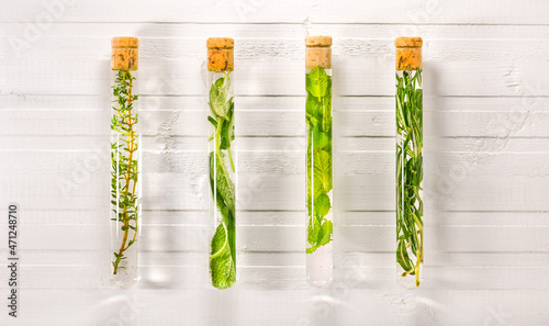 Tubes with herbs in solutions on a white wooden countertop.
