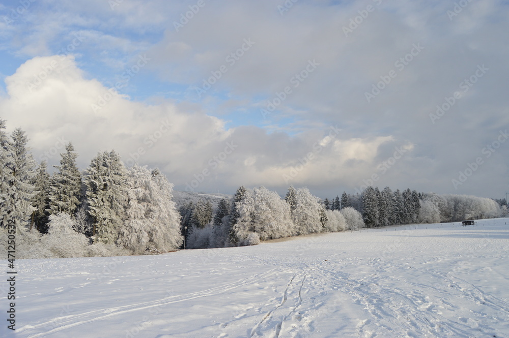 Schneebedeckte Winterlandschaft.