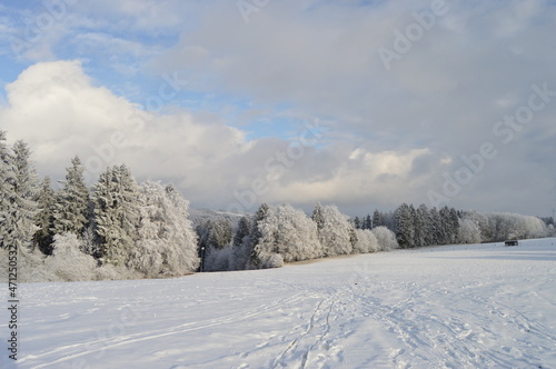 Schneebedeckte Winterlandschaft.