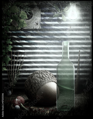 still life with a bottle and acorns photo