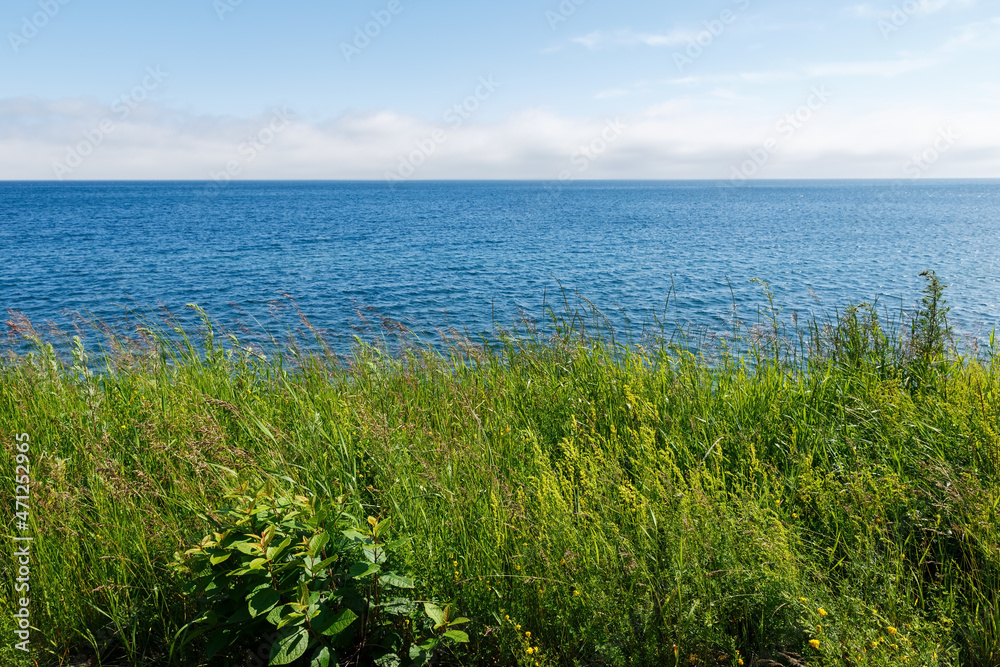 Lake Baikal, Russia. Green grass grows on the shore of the lake. Beautiful landscape.