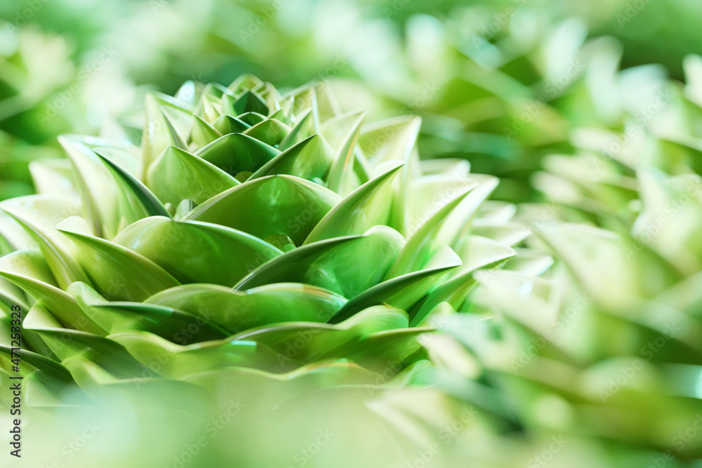 Fototapeta premium 3d illustration of a close-up green flower, succulents on a blurred background