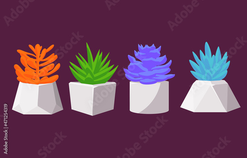 A set of several succulents of different colors in concrete pots. Home flowers from the genus cactus