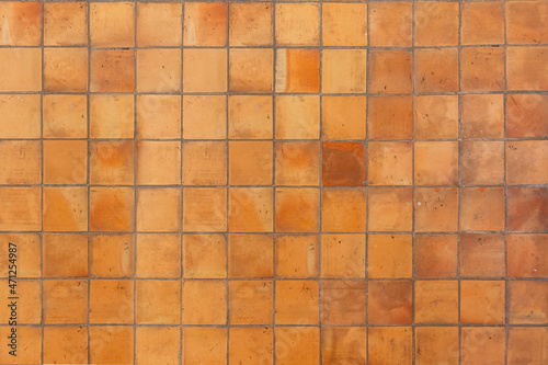 Floor composed by Brown tile earthenware, for texture and background