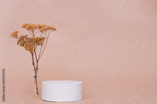 Still life with dried flowers and a podium on a pastel background. Minimalism. photo