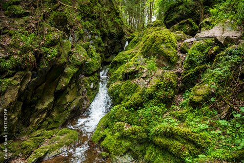 Kleiner Wasserfall im Wald - Lotenbachklamm  Schwarzwald  Baden-Wuerttemberg