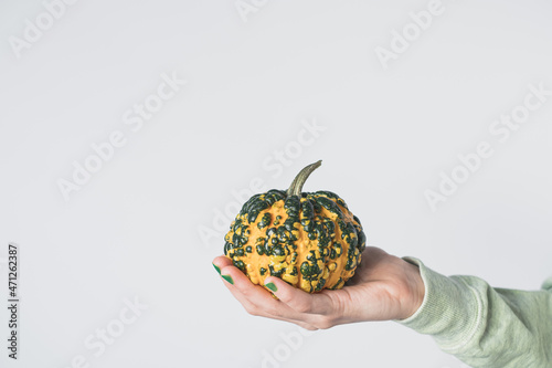 Female hand holding decorative pumpkin on white the background