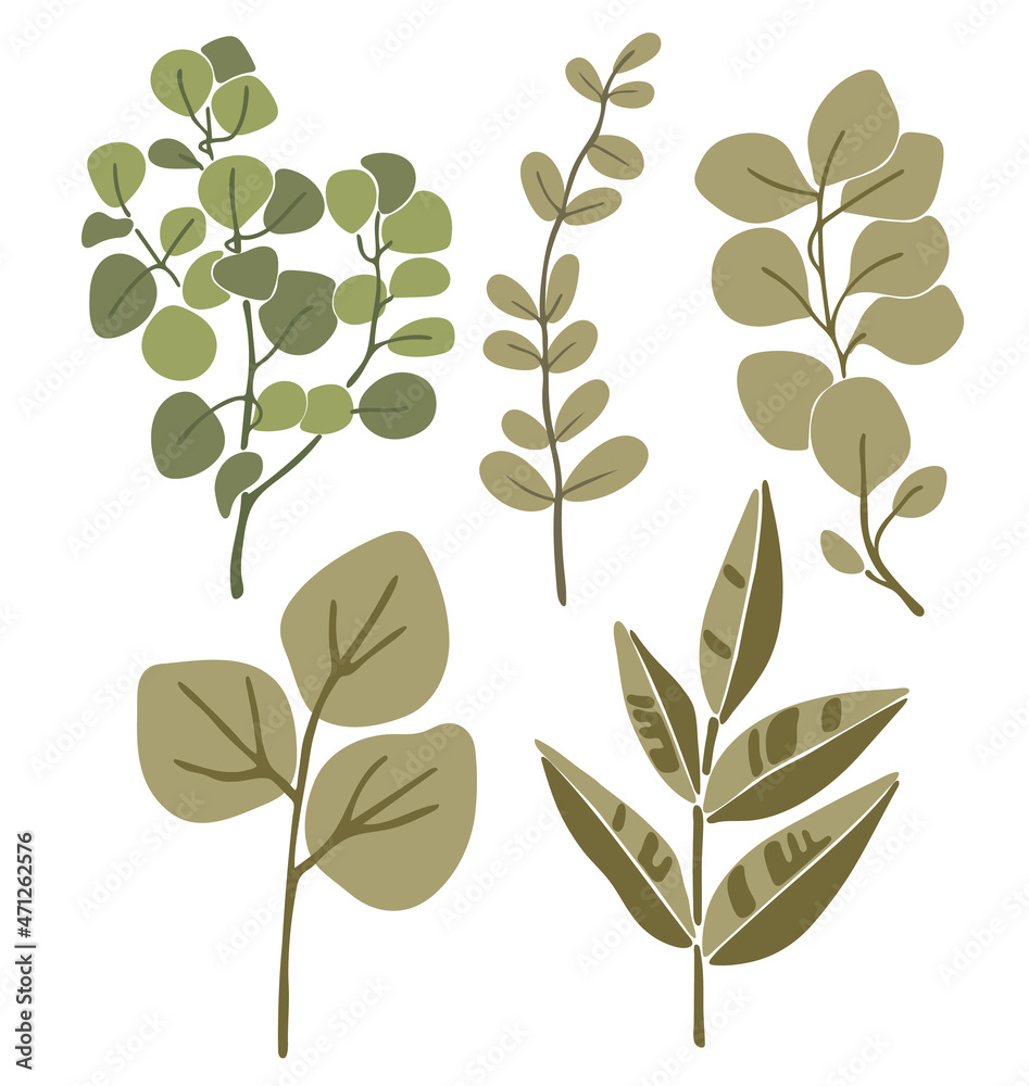 Abstract botanical plant set vector, tropical leaves art, summer leaf elements, floral vector collection