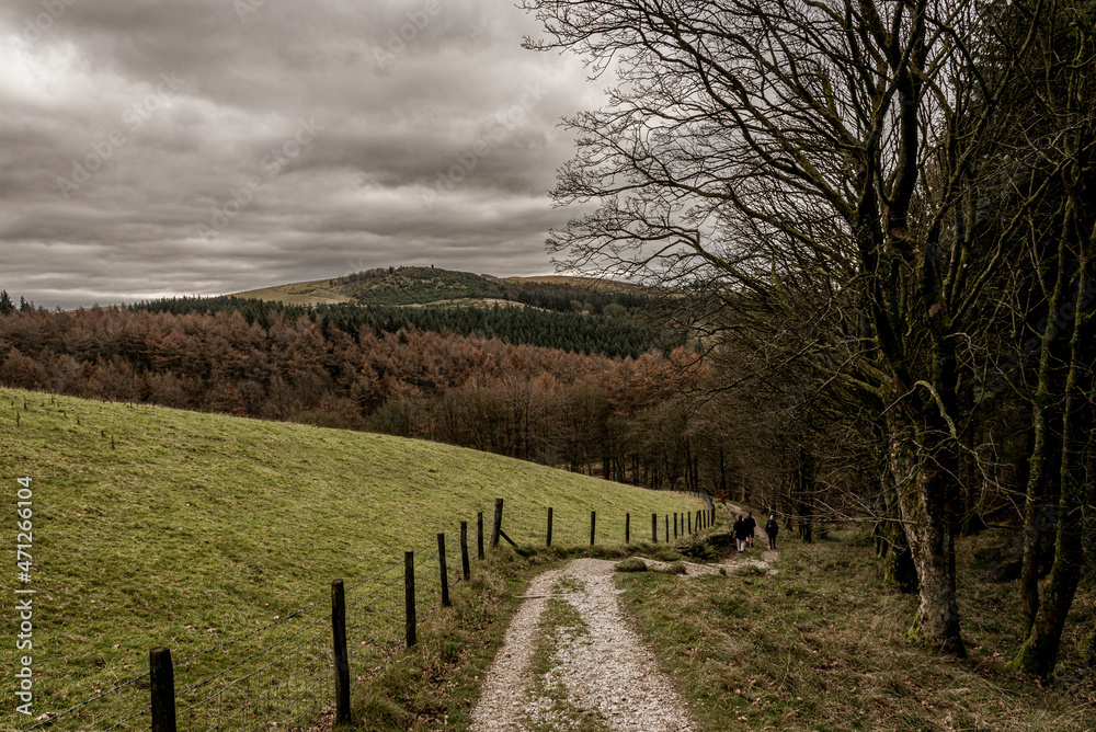 landscape with a fence in autumn landscape with a fence in autumn