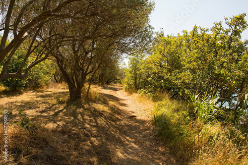 A coastal path south of the town of Punat on Krk Island in Primorje-Gorski Kotar County in western Croatia during late summer
