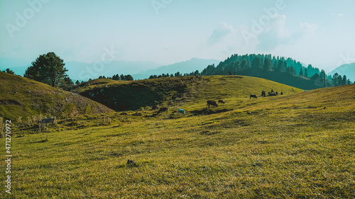 landscape in the mountains © Mohsin
