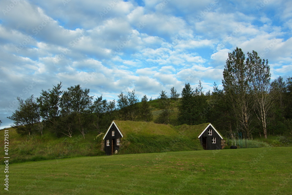 Rural buildings at Dalshöfdi on the south of Iceland, Europe
