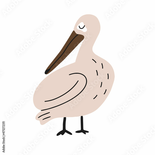 Vector illustration of a bird.pelican for design