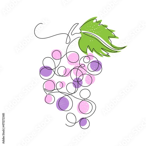 Vector image of a bunch of grapes. One line drawing. Tropical fruit.
