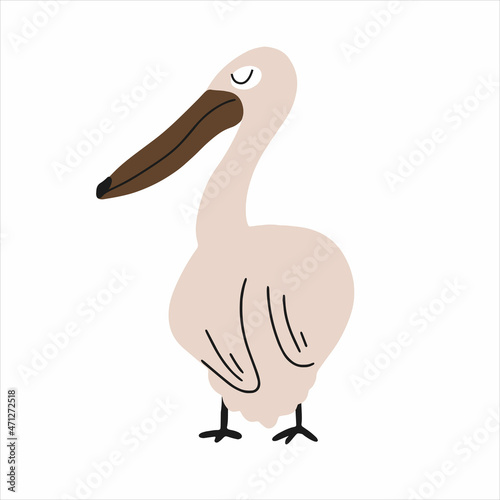 Vector illustration of a bird.pelican for design