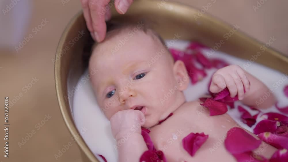 Top view face of thoughtful infant lying in white milk water with red rose petals looking away. Close-up charming carefree Caucasian little baby girl bathing with female hands touching head Top view face of thoughtful infant lying in white milk water with red rose petals looking away. Close-up charming carefree Caucasian little baby girl bathing with female hands touching head